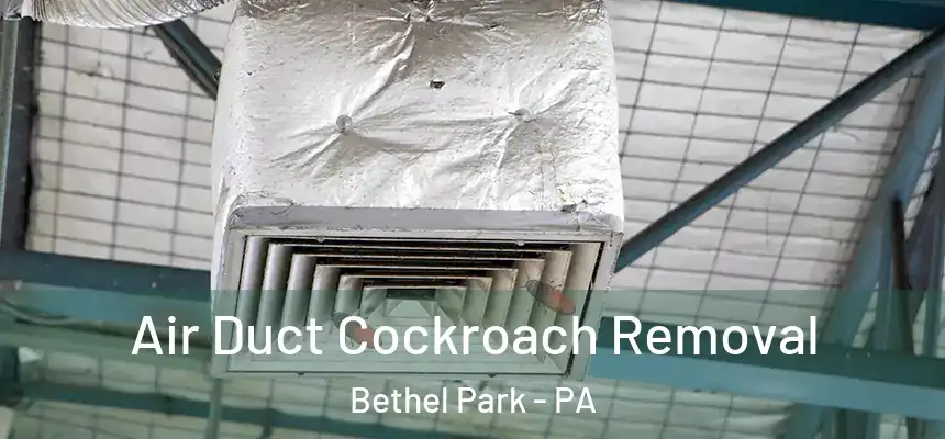  Air Duct Cockroach Removal Bethel Park - PA