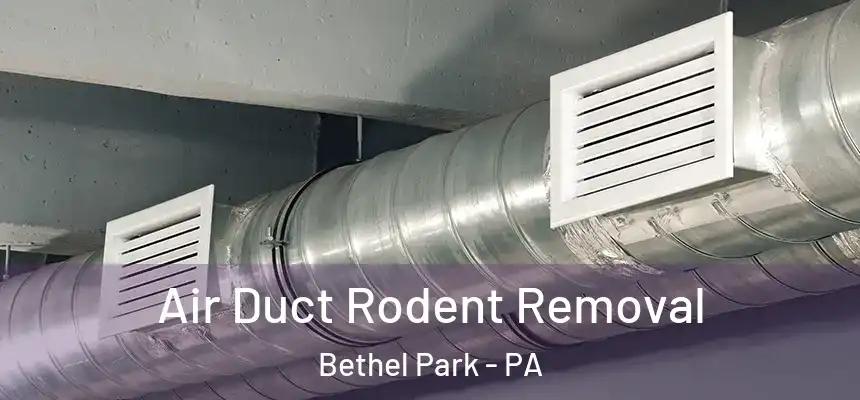  Air Duct Rodent Removal Bethel Park - PA