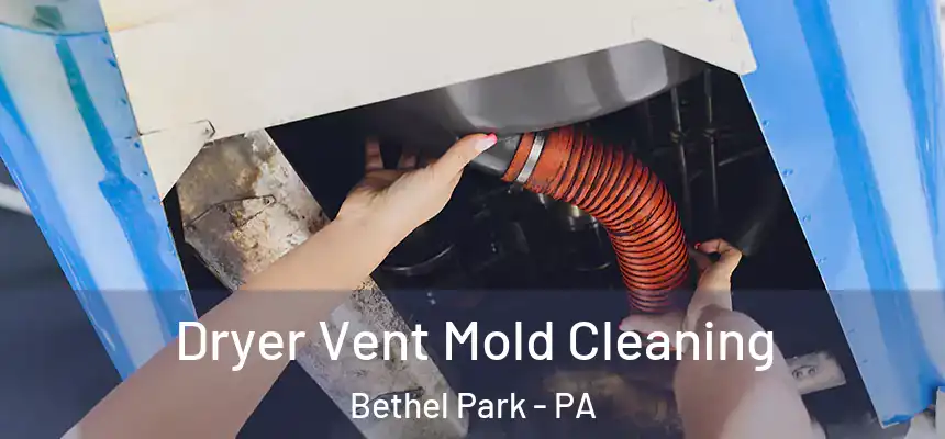 Dryer Vent Mold Cleaning Bethel Park - PA