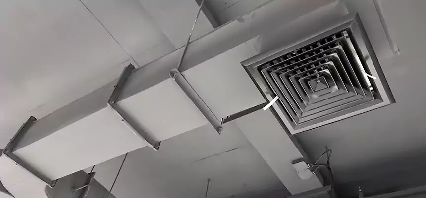 Restorative Allergy Relief Vent Cleaning – Coil, Blower & Housing Detail in Bethel Park