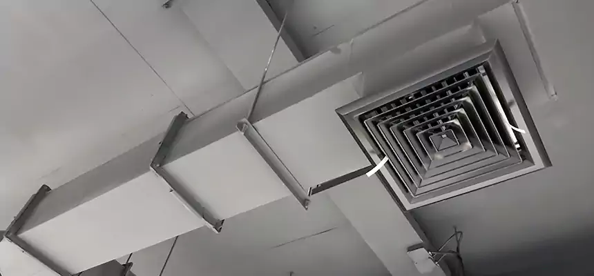 Our Rodent Droppings In Vents Services in Bethel Park, PA