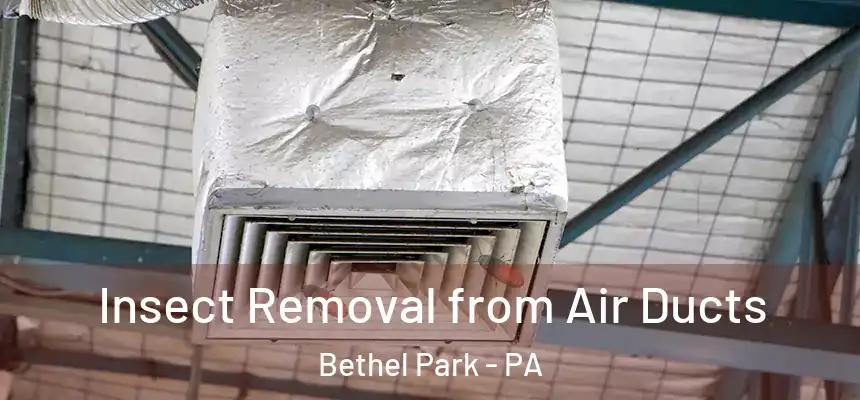  Insect Removal from Air Ducts Bethel Park - PA
