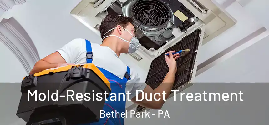 Mold-Resistant Duct Treatment Bethel Park - PA