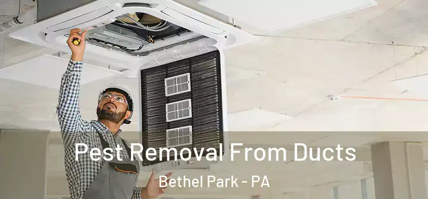  Pest Removal From Ducts Bethel Park - PA