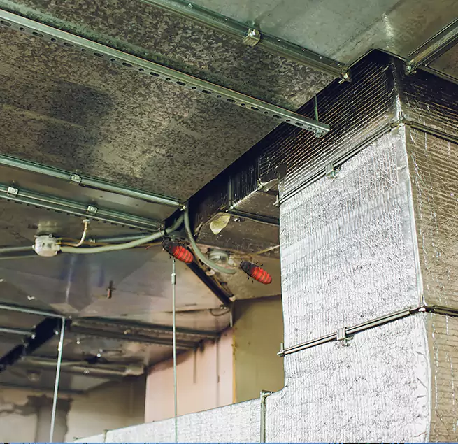 Why Homeowners & Businesses Trust Us in Bethel Park, PA?