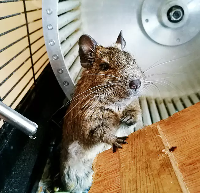 Why Homeowners & Businesses Trust Us Bethel Park, PA?